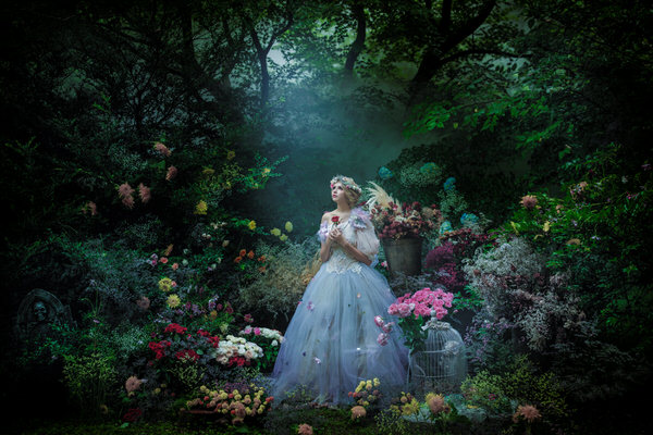 Photograph Haseo Hasegawa Beautiful World 5 on One Eyeland