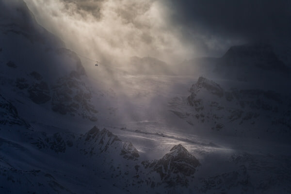 Photograph Peter Svoboda Swaying In The Wind on One Eyeland