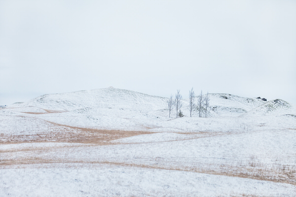 Photograph Peter Svoboda Hope For The New Life on One Eyeland
