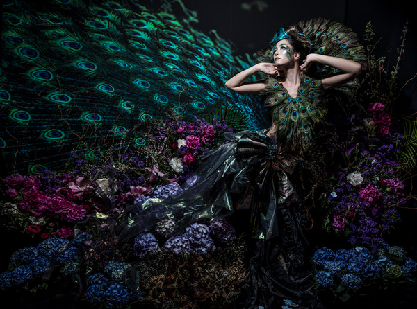 Photograph Haseo Hasegawa Peacock on One Eyeland