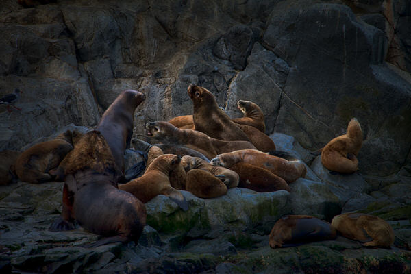 Photograph Peter Svoboda Family Talk on One Eyeland