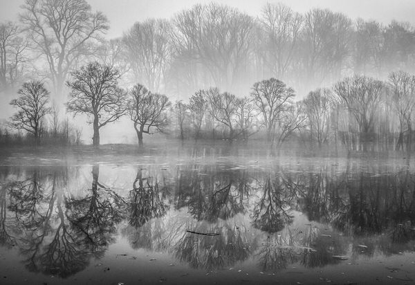 Photograph Malgo Walko December Morning on One Eyeland