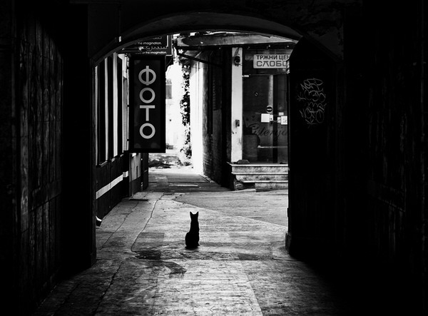 Photograph Mikica Kosanovic Passage on One Eyeland