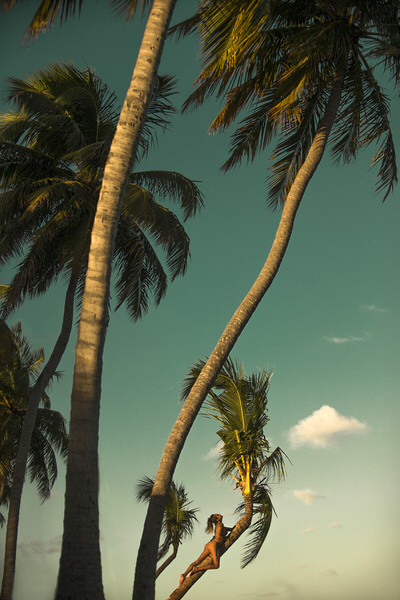 Photograph Junior Luz The Paradise on One Eyeland