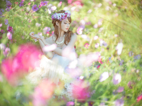 Photograph Haseo Hasegawa Autumn Cherry Blossoms on One Eyeland