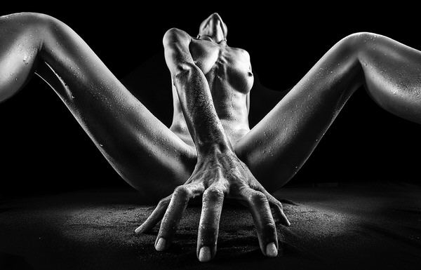 Photograph Jackson Carvalho Sculpture on One Eyeland