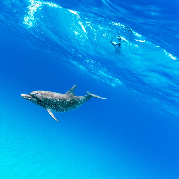 Photograph Torleif Lie Jump For Joy on One Eyeland