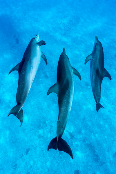 Photograph Torleif Lie Harmony on One Eyeland