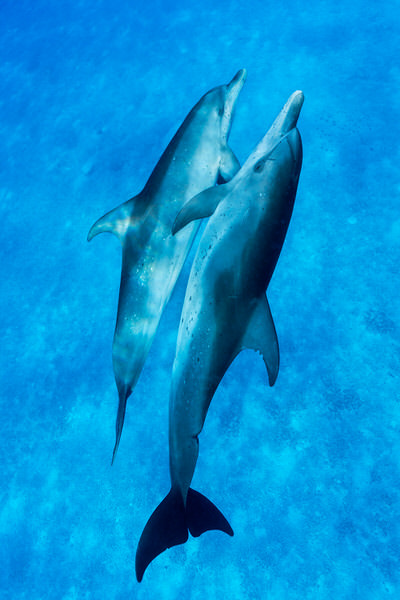 Photograph Torleif Lie Into The Blue on One Eyeland