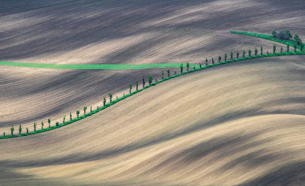 Photograph Peter Cech Wave on One Eyeland
