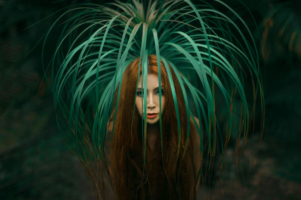 Photograph Junior Luz Dark Nature on One Eyeland
