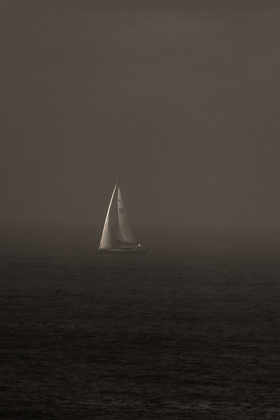 Photograph Steve Turner Sailing In Light on One Eyeland