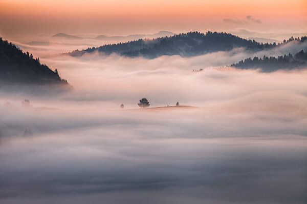 Photograph Peter Svoboda As The Mists Created An Ocean on One Eyeland