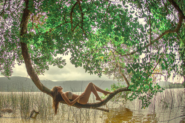 Photograph Junior Luz Relax Nature on One Eyeland