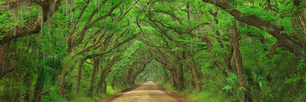 Photograph Craig Bill Wanderland on One Eyeland