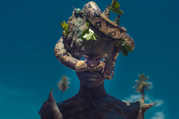 Photograph Junior Luz Ianomamis Tree on One Eyeland