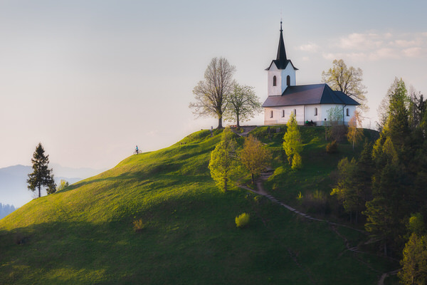 Photograph Jaka Ivancic Spring Has Arrived on One Eyeland