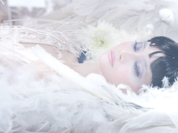 Photograph Haseo Hasegawa Swan on One Eyeland