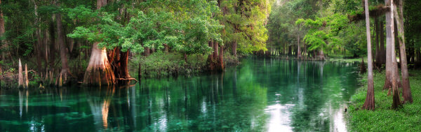 Photograph Matt Tilghman Ichetucknee Springs At Dawn Florida on One Eyeland
