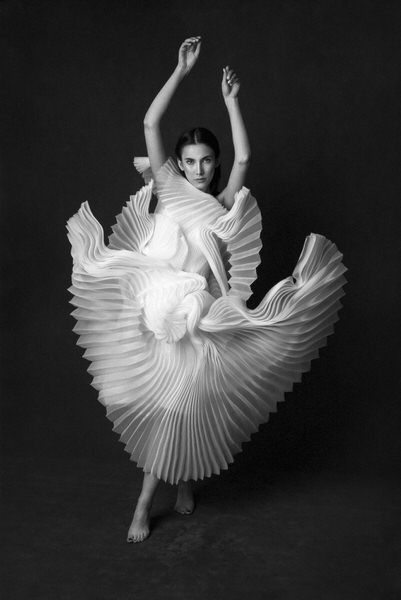 Photograph Peyman Naderi Swan Lake on One Eyeland