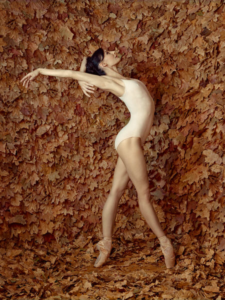 Photograph Sasha Onyshchenko Maple Leafs on One Eyeland