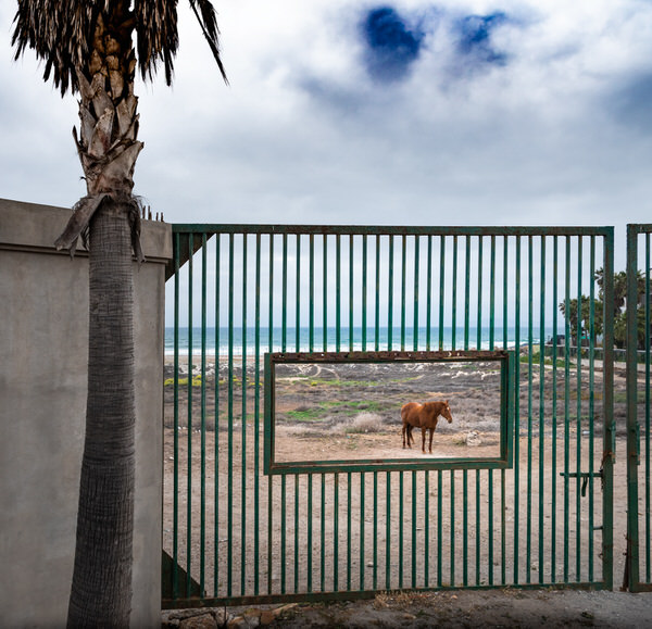 Photograph Jens Lucking Fence With A View on One Eyeland