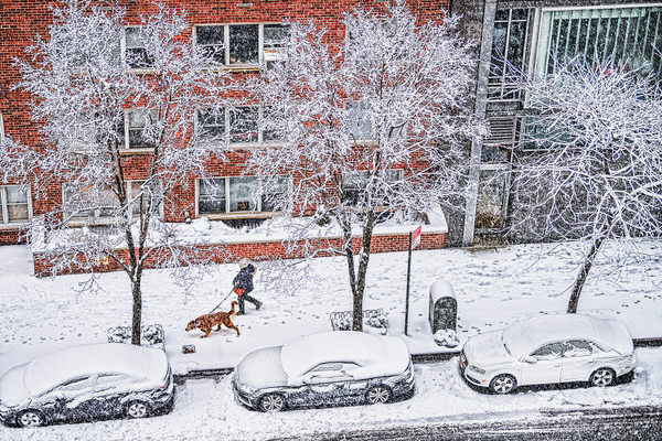Photograph Mitchell Funk Dog Walker On Snowy Day on One Eyeland