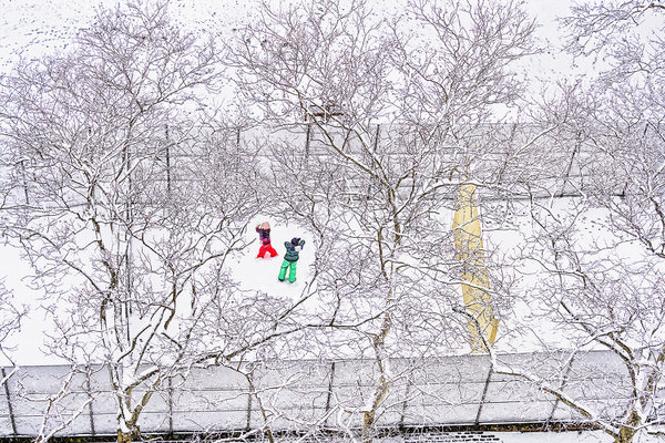 Photograph Mitchell Funk Snow In The Park on One Eyeland