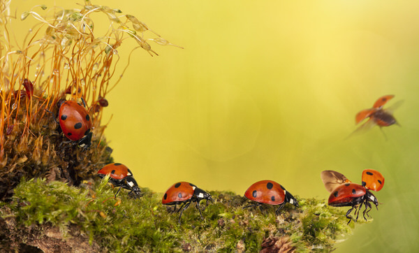 Photograph Angi Wallace The Journey on One Eyeland