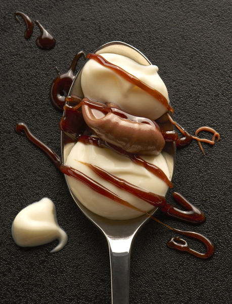 Photograph Sue Atkinson A Spoonful Of Chocolate And Vanilla on One Eyeland