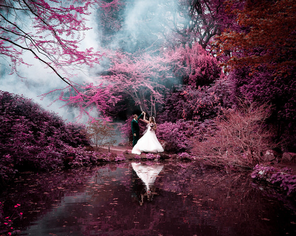 Photograph Peter Robinson Infrared Love on One Eyeland