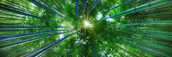 Photograph Craig Bill Solstice on One Eyeland