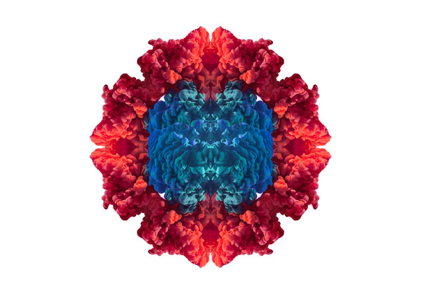Photograph Joseba Barriola Chromatic Flower on One Eyeland