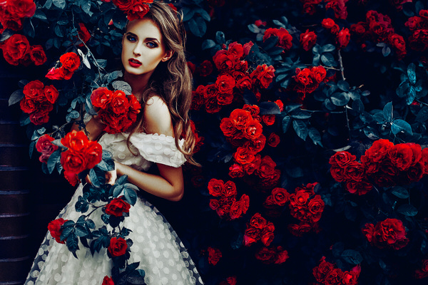 Photograph Ruslan Bolgov Scent Of A Rose on One Eyeland