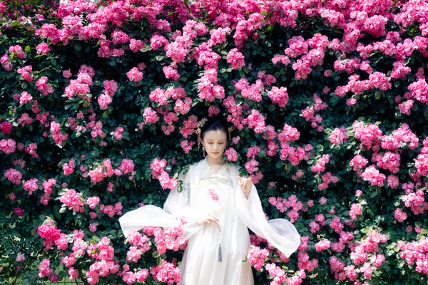 Photograph Taro Mori Rose Fairy on One Eyeland