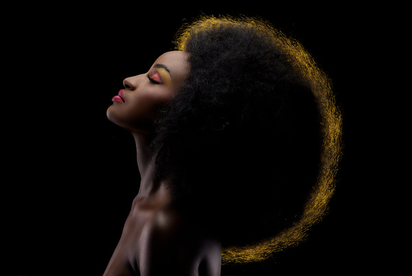 Photograph Marc Sabat Lionheart on One Eyeland