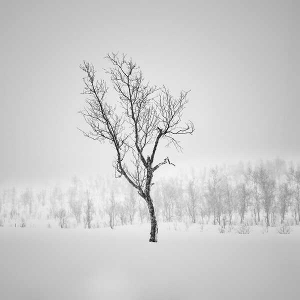 Photograph Marc Koegel Frozen Ii on One Eyeland