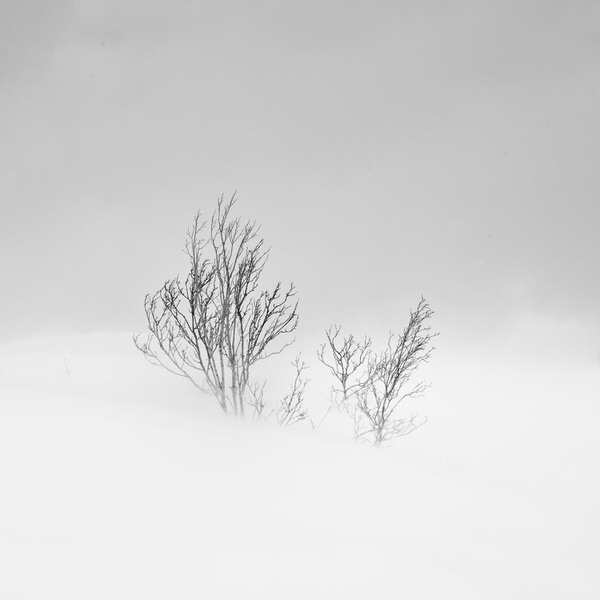 Photograph Marc Koegel Frozen V on One Eyeland