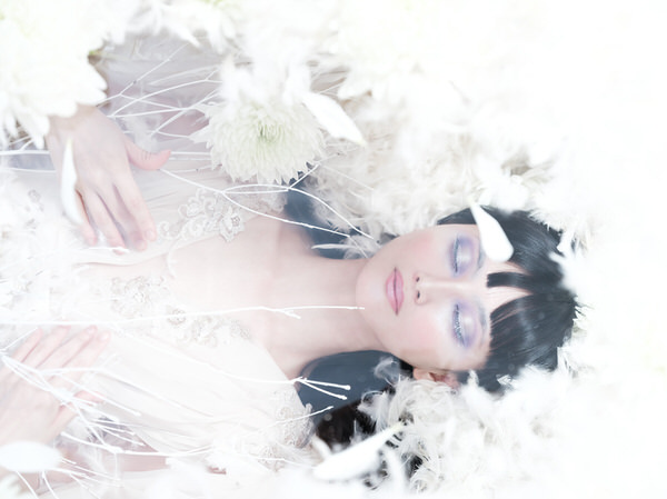 Photograph Haseo Hasegawa Wingless Bird 1 on One Eyeland