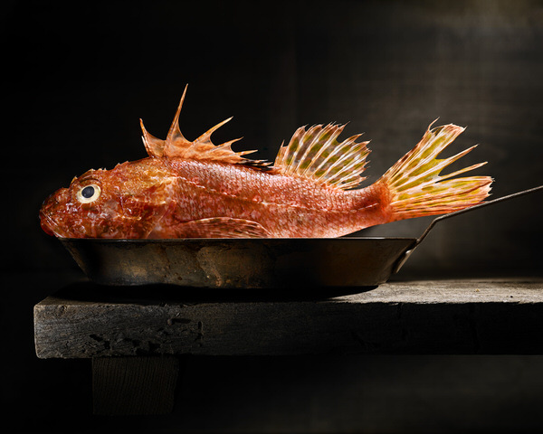 Photograph Daniele Fiore Food 01 on One Eyeland