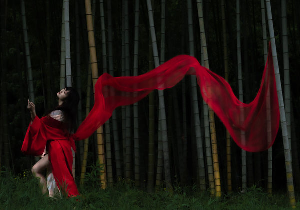 Photograph Yoshifumi Horiwaki Nightmare on One Eyeland