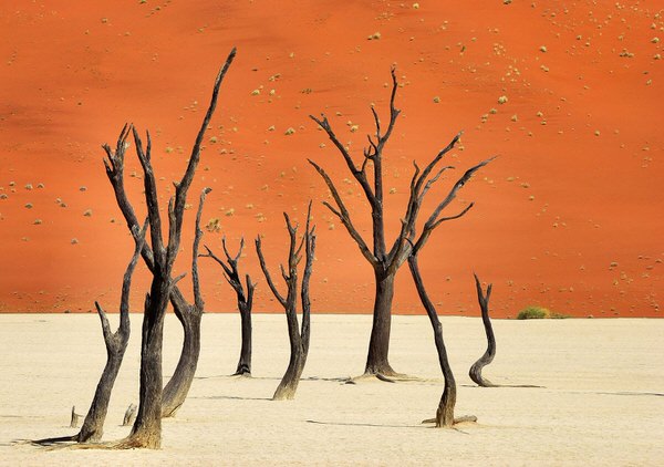 Photograph Luis Camara Utopia on One Eyeland