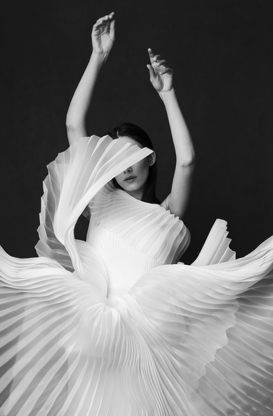 Photograph Peyman Naderi Swan Lake V on One Eyeland