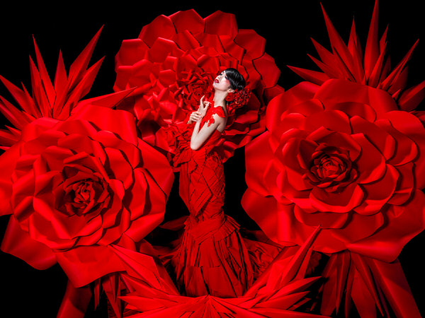 Photograph Haseo Hasegawa Red Rose 1 on One Eyeland