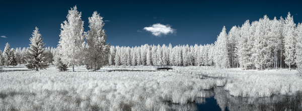 Photograph Petri Damsten A Small Bridge on One Eyeland