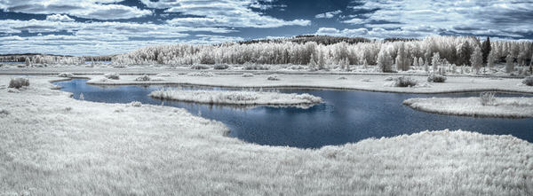 Photograph Petri Damsten Wetland on One Eyeland