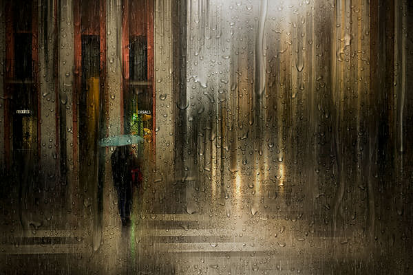 Photograph Gus Fine Art Spring Rain on One Eyeland