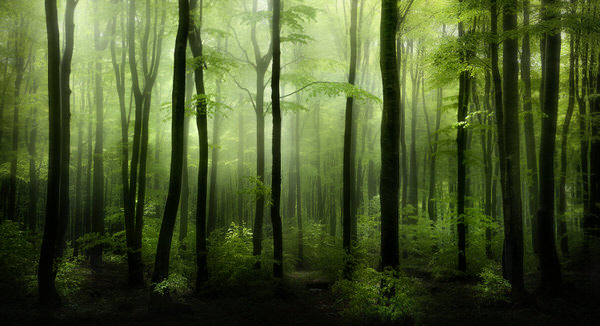 Photograph Veselin Atanasov Sunlight on One Eyeland