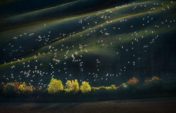Photograph Peter Svoboda Accompained By The First Light on One Eyeland