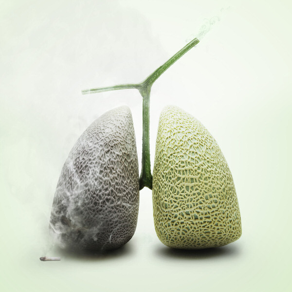 Photograph Kazutoshi Kawakami Melon Lung on One Eyeland